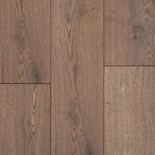 Дуб Альгамбра