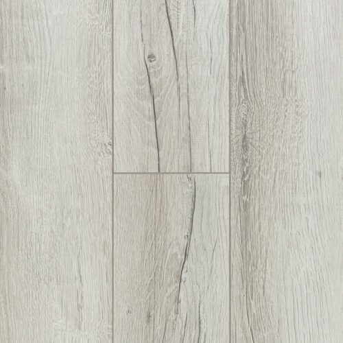 Дуб Ривьера