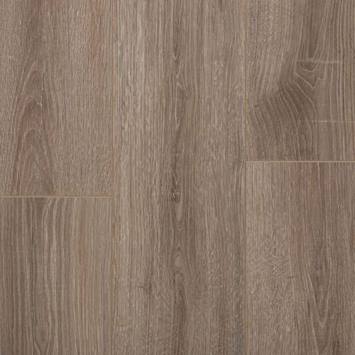 Дуб Джонсон