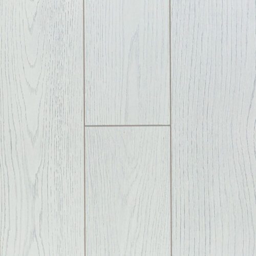 Сосна Дакота